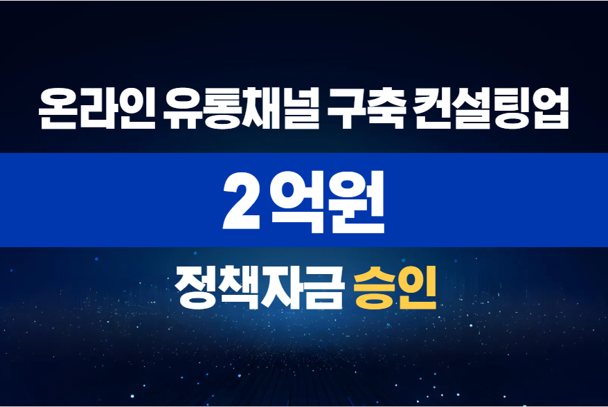 온라인 유통채널 구축 컨설팅업 / 정책자금 2억 승인